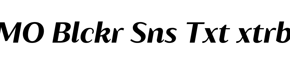 FSP DEMO Blckr Sns Txt xtrbld Italic