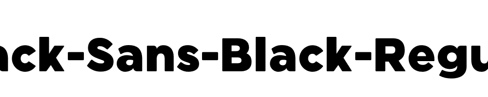 Black-Sans-Black-Regular