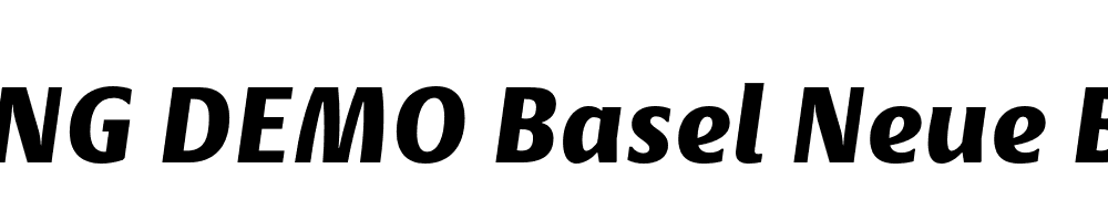  DEMO Basel Neue Black Italic