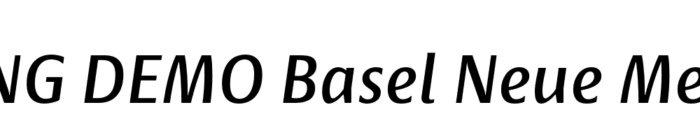  DEMO Basel Neue Medium Italic