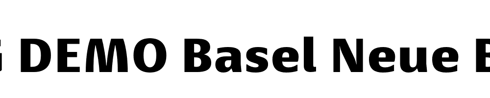  DEMO Basel Neue Black Regular