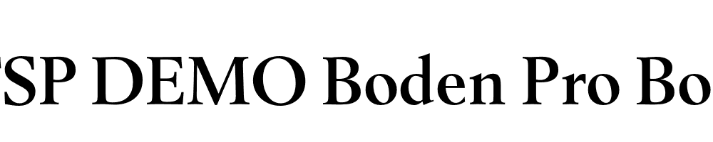 FSP DEMO Boden Pro Bold