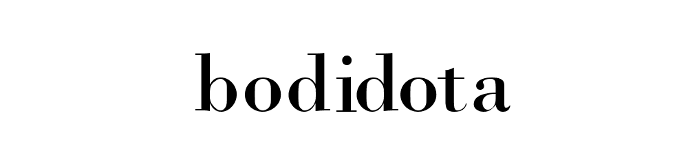 Bodidota