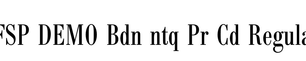 FSP DEMO Bdn ntq Pr Cd Regular