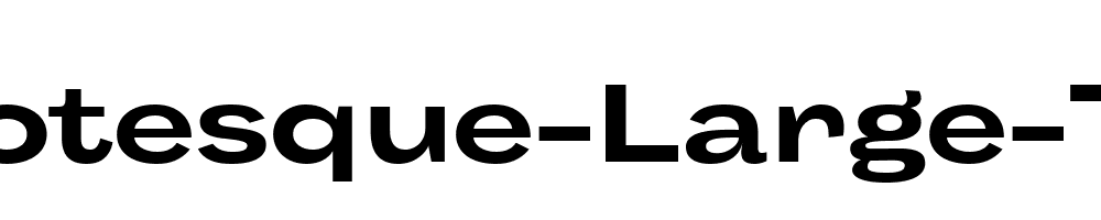 Body-Grotesque-Large-Trial-Bold