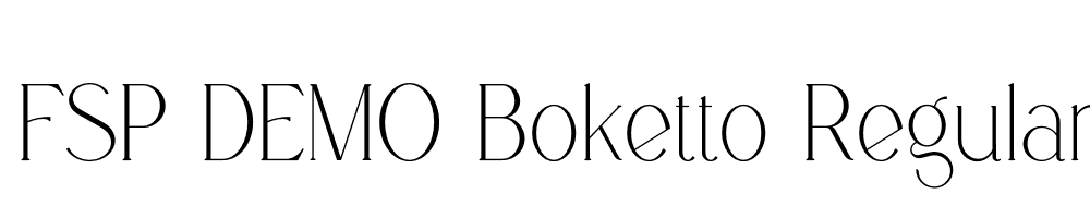 FSP DEMO Boketto Regular