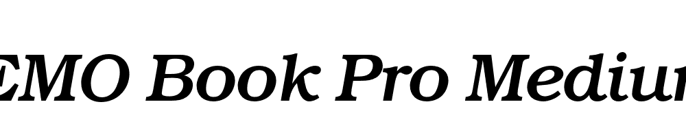 FSP DEMO Book Pro Medium Italic