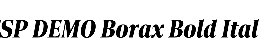 FSP DEMO Borax Bold Italic