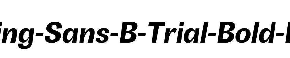 Boring-Sans-B-Trial-Bold-Italic