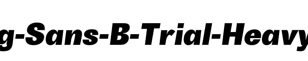 Boring-Sans-B-Trial-Heavy-Italic