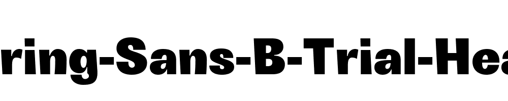 Boring-Sans-B-Trial-Heavy