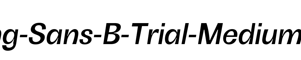 Boring-Sans-B-Trial-Medium-Italic