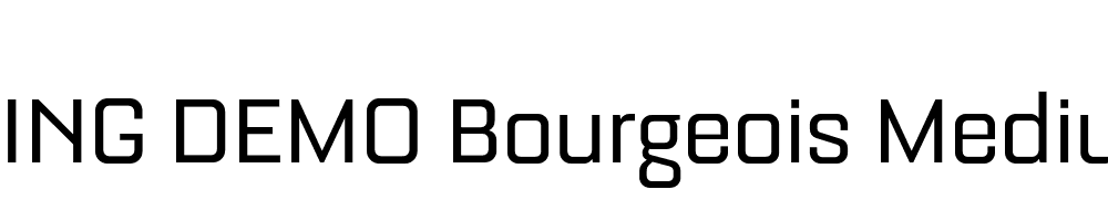  DEMO Bourgeois Medium Regular