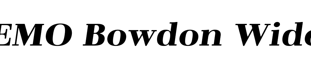 FSP DEMO Bowdon Wide Italic