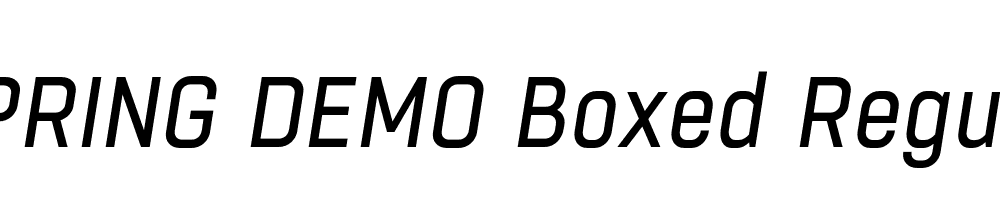  DEMO Boxed Regular Italic