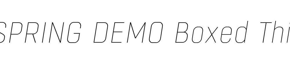  DEMO Boxed Thin Italic