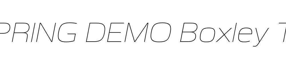  DEMO Boxley Thin Italic