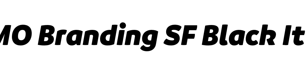FSP DEMO Branding SF Black It Regular