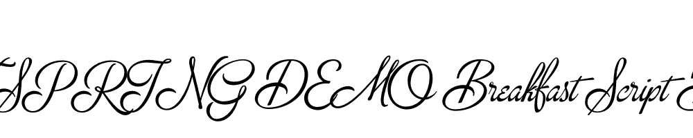  DEMO Breakfast Script Bold Regular