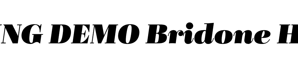  DEMO Bridone Heavy Italic