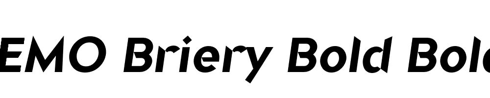 FSP DEMO Briery Bold Bold Italic