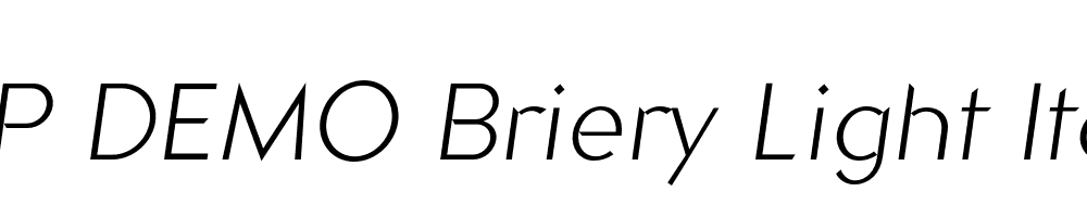 FSP DEMO Briery Light Italic