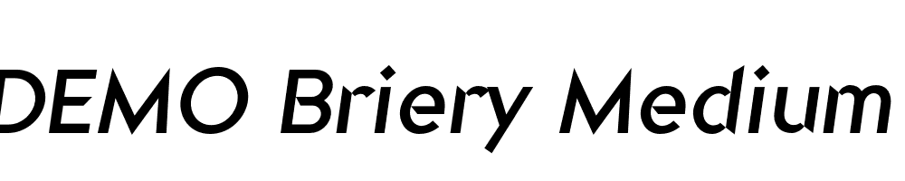 FSP DEMO Briery Medium Italic