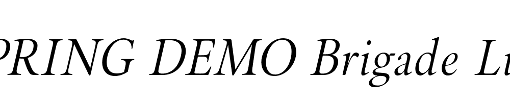  DEMO Brigade Light Italic