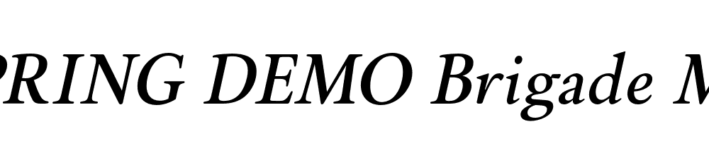  DEMO Brigade Med Italic