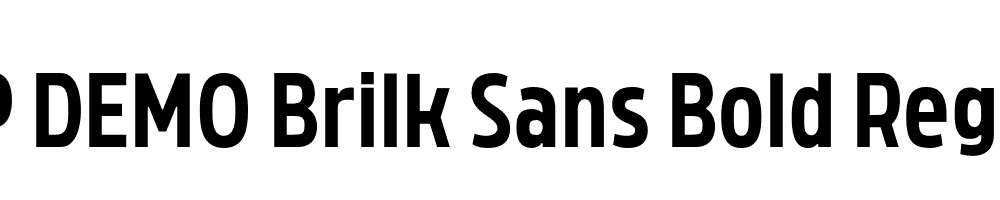 FSP DEMO Brilk Sans Bold Regular