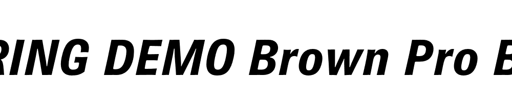  DEMO Brown Pro Bold Italic