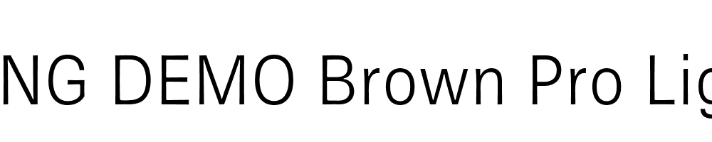  DEMO Brown Pro Light Regular