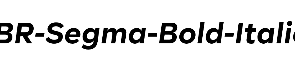 BR-Segma-Bold-Italic