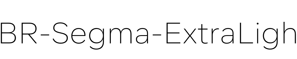 BR-Segma-ExtraLight