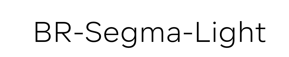 BR-Segma-Light