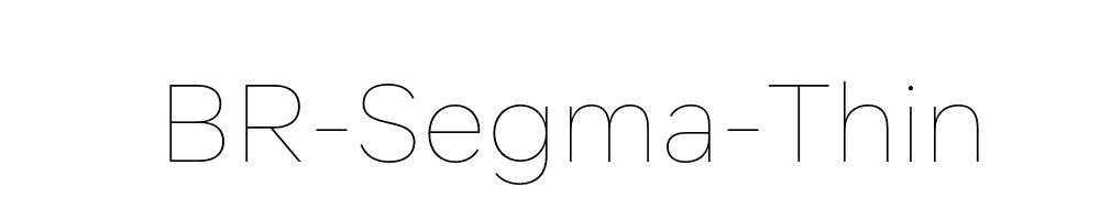 BR-Segma-Thin