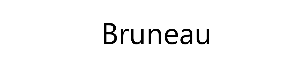 Bruneau