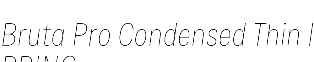  DEMO Bruta Pro Condensed Thin Italic Regular