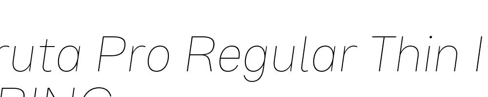  DEMO Bruta Pro Regular Thin Italic Regular