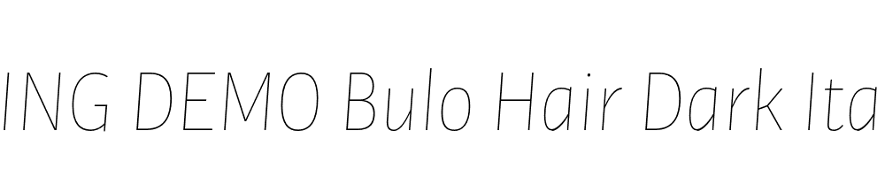  DEMO Bulo Hair Dark Italic Regular