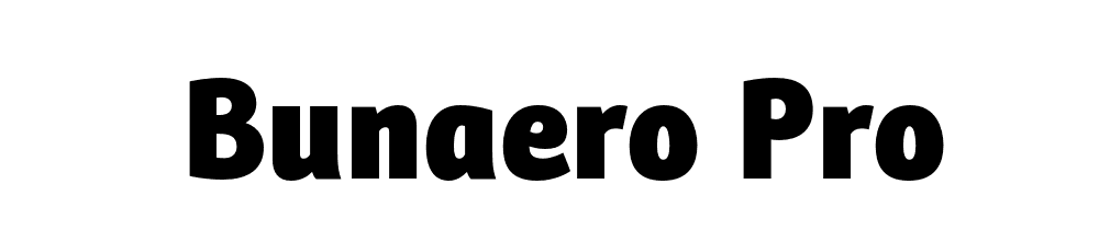 Bunaero Pro