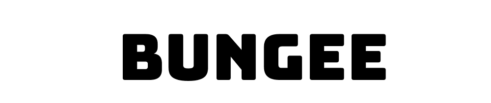 Bungee