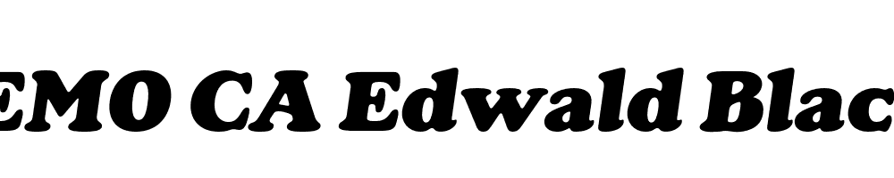 FSP DEMO CA Edwald Black Italic