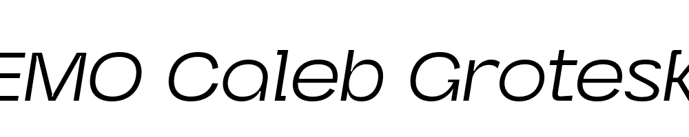 FSP DEMO Caleb Grotesk Italic