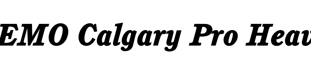 FSP DEMO Calgary Pro Heavy Italic