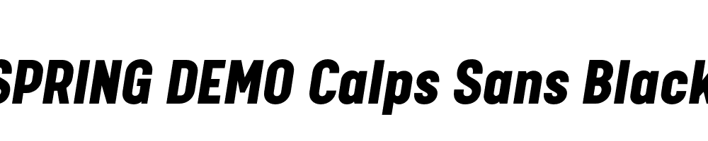  DEMO Calps Sans Black Italic