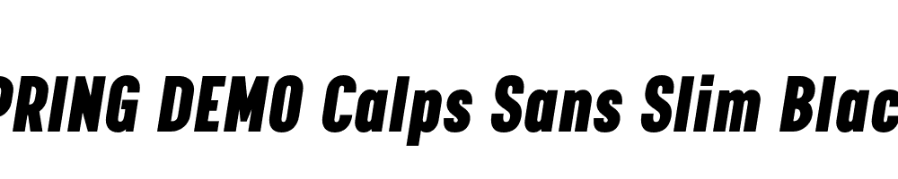  DEMO Calps Sans Slim Black Italic