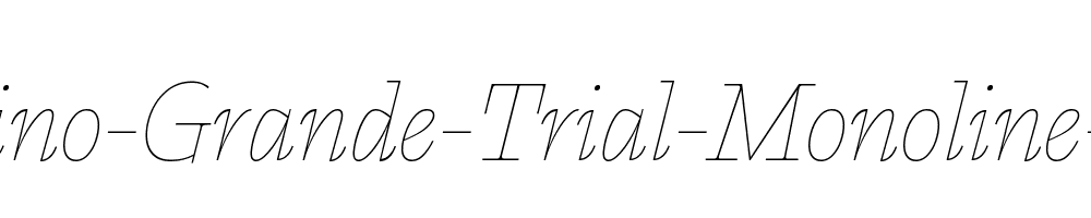 Calvino-Grande-Trial-Monoline-Italic