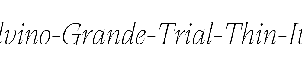 Calvino-Grande-Trial-Thin-Italic