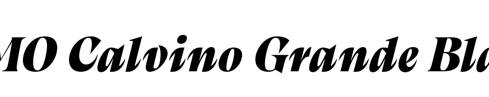 FSP DEMO Calvino Grande Black Italic